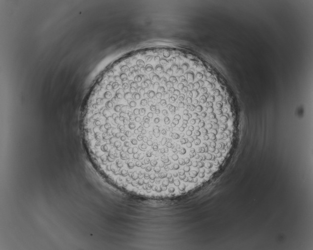 X0000115671404200912241410