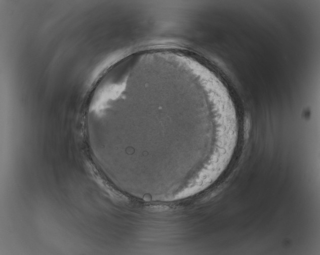 X0000115671405200912241410