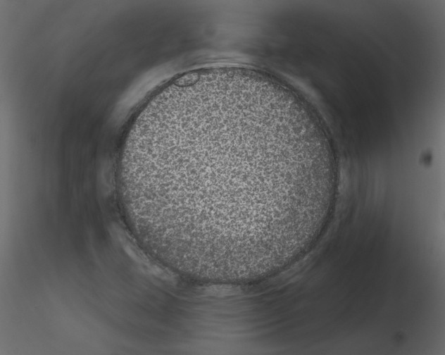 X0000115671407200912241410