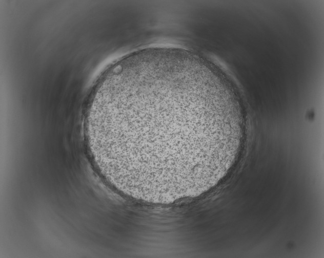 X0000115671408200912241410