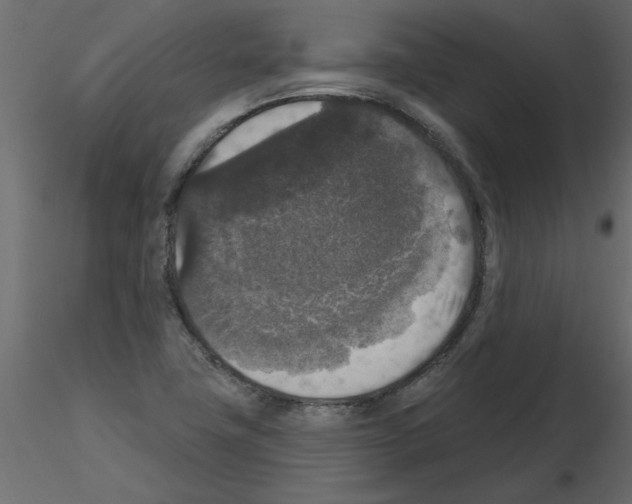 X0000115671411200912241410