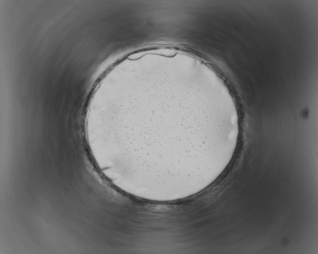 X0000115671412200912241410