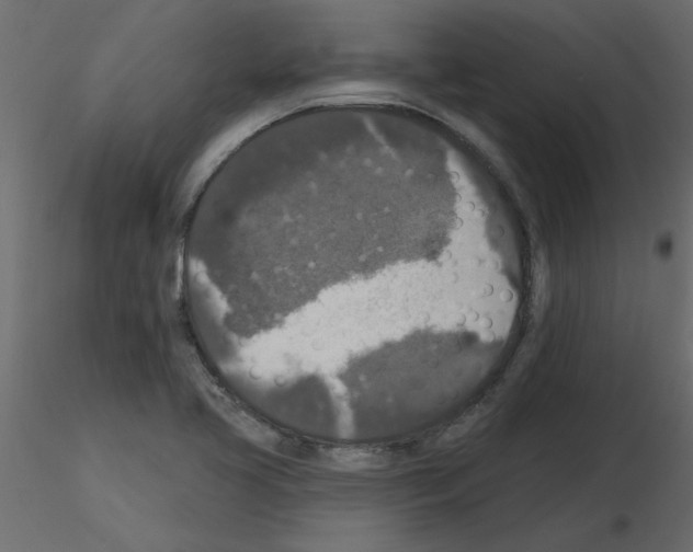 X0000115671413200912241410