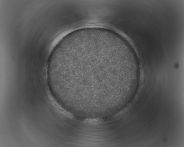 X0000115671415200912241410