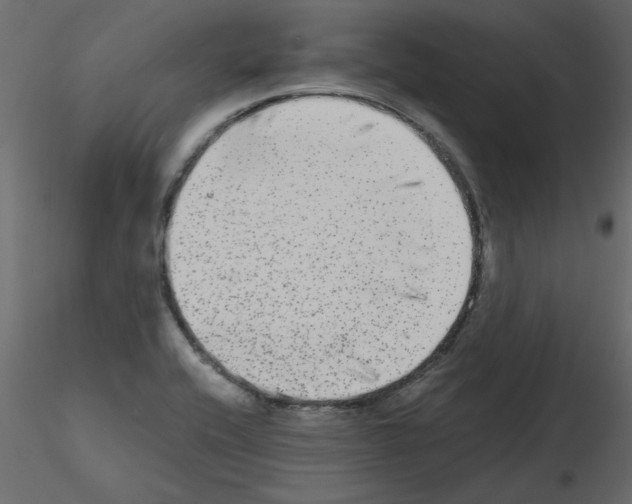 X0000115671416200912241410