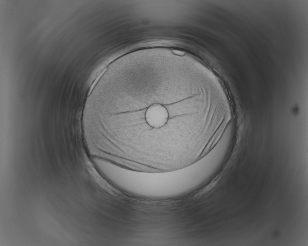 X0000115671417200912241410