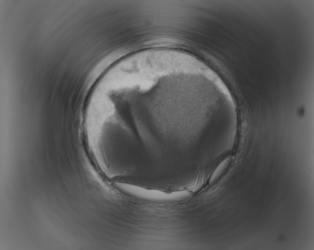 X0000115671418200912241410