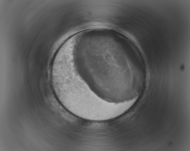 X0000115671419200912241410