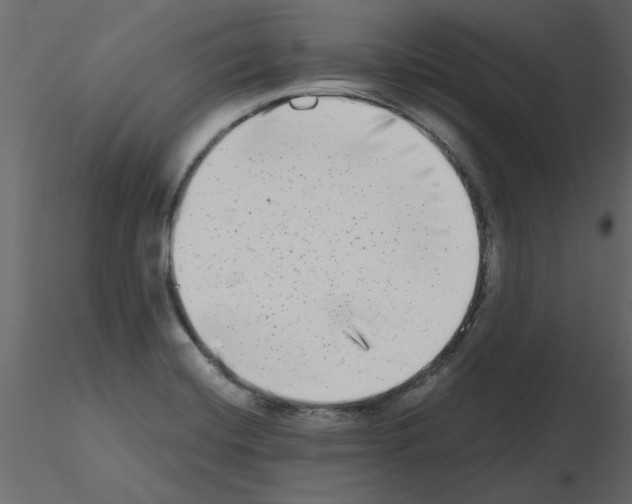 X0000115671420200912241410