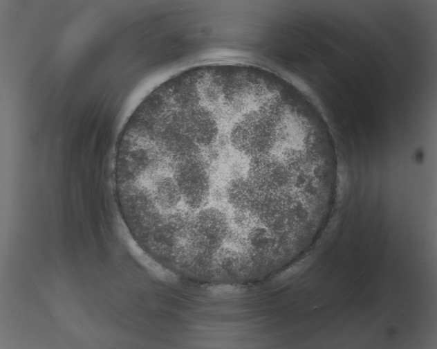 X0000115671421200912241410