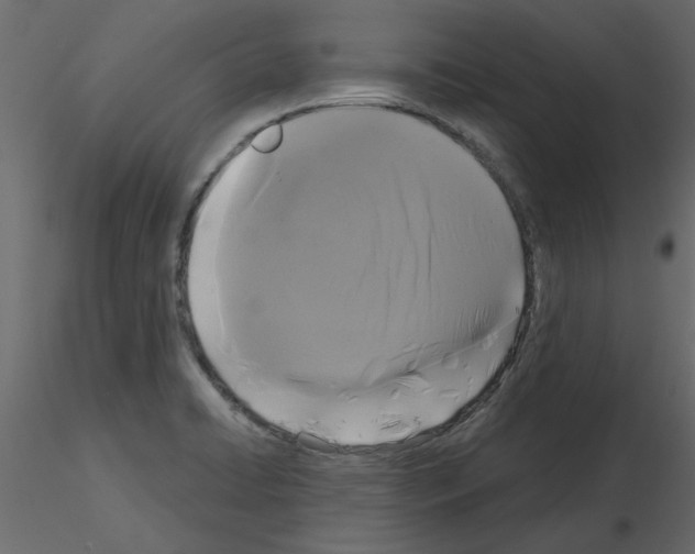 X0000115671422200912241410