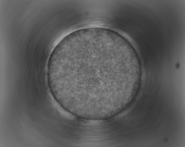 X0000115671423200912241410