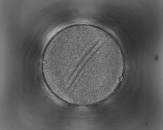 X0000115671424200912241410