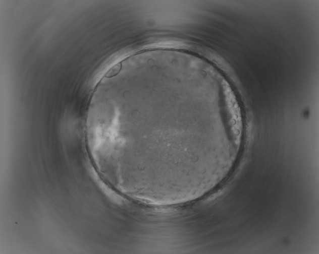 X0000115671425200912241410