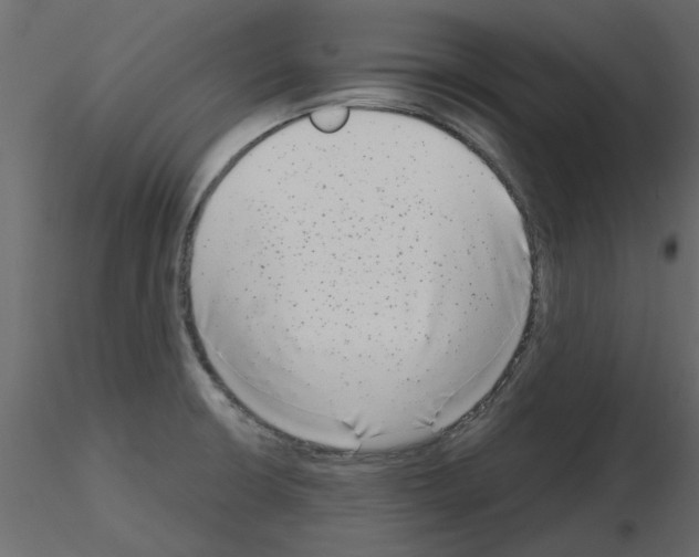 X0000115671426200912241410