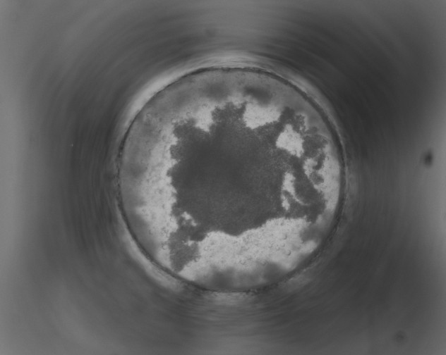 X0000115671429200912241410