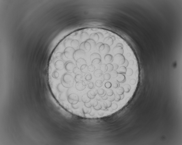 X0000115671432200912241410