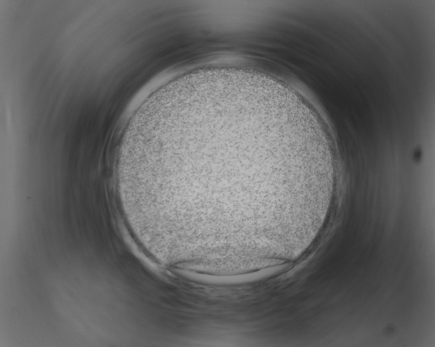 X0000115671437200912241410