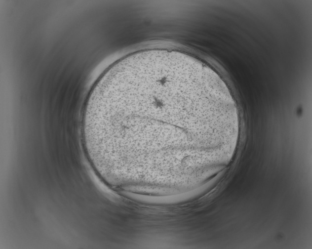 X0000115671438200912241410