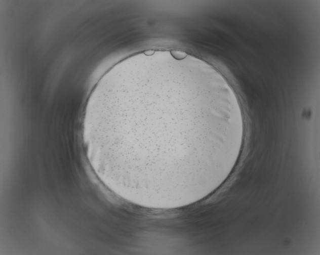 X0000115671440200912241410