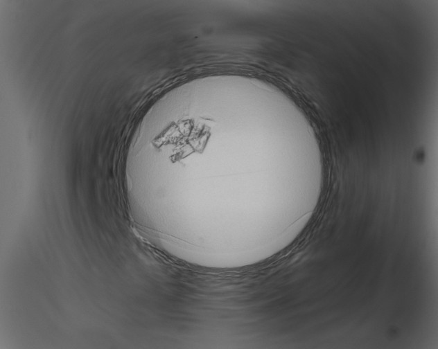 X0000115671441200912241410