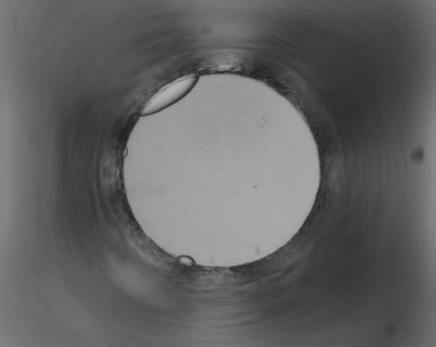 X0000115671442200912241410