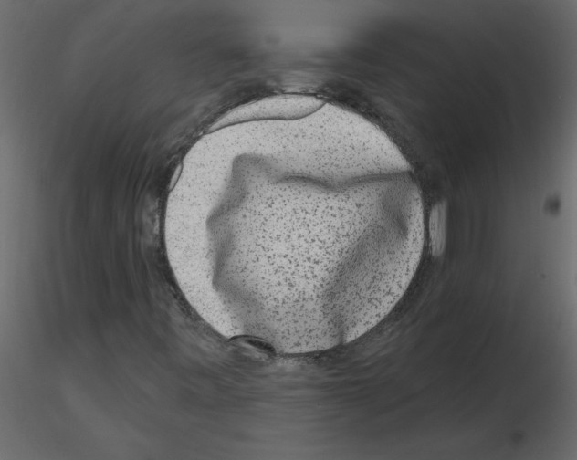 X0000115671443200912241410