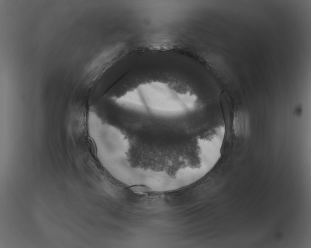 X0000115671444200912241410