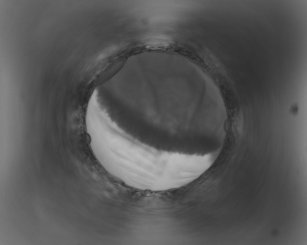 X0000115671445200912241410