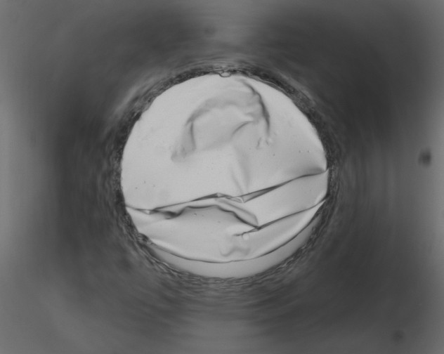 X0000115671447200912241410