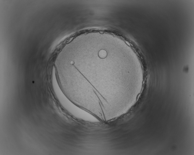 X0000115671448200912241410