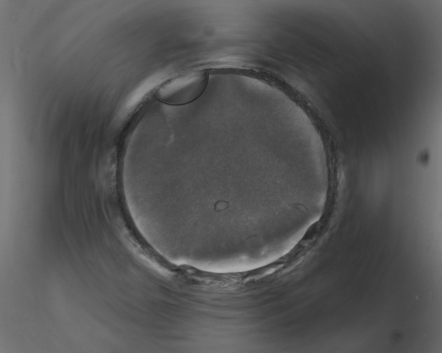 X0000115671450200912241410