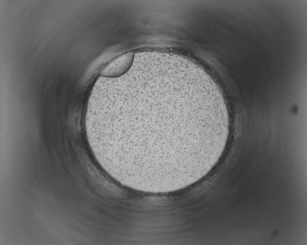 X0000115671451200912241410