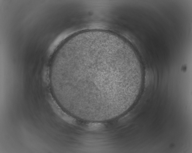 X0000115671454200912241410