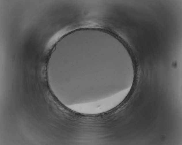 X0000115671455200912241410