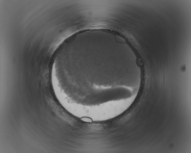 X0000115671457200912241409