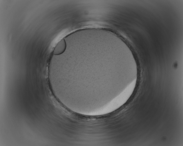 X0000115671459200912241409