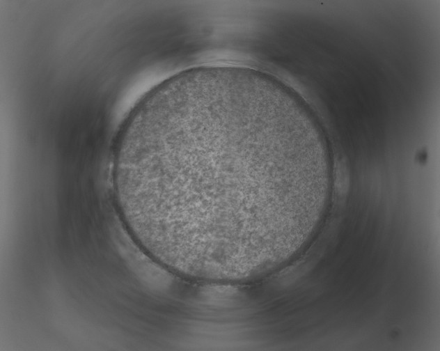 X0000115671462200912241409