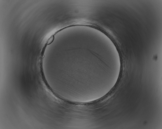 X0000115671463200912241409