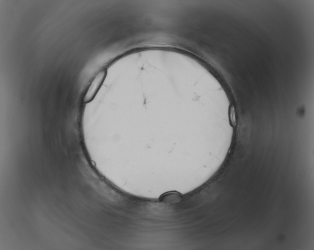 X0000115671464200912241409