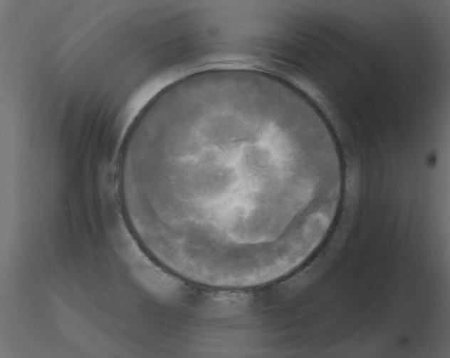 X0000115671466200912241409