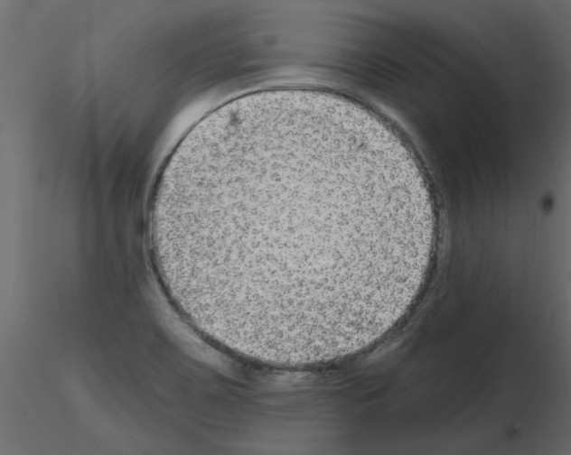 X0000115671467200912241409