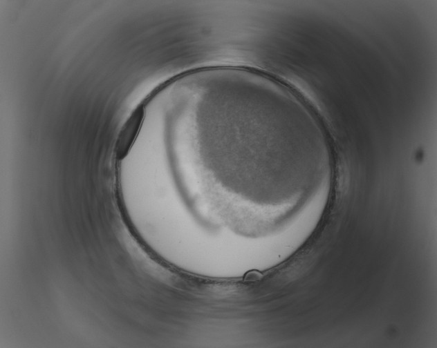 X0000115671468200912241409