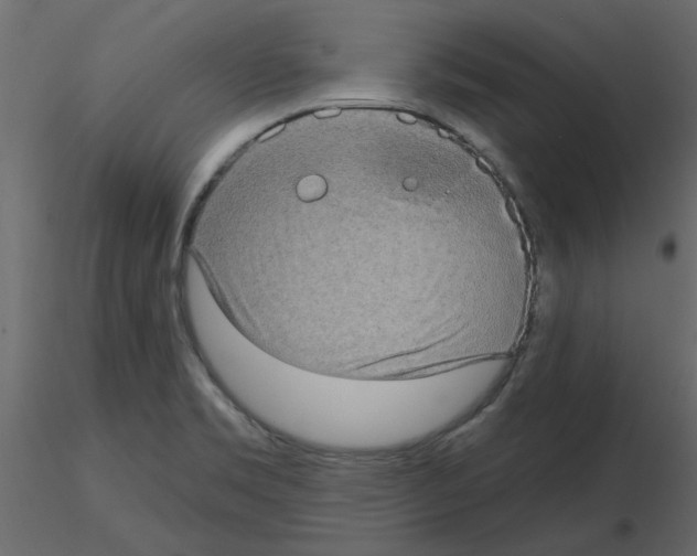 X0000115671469200912241409