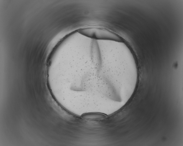 X0000115671472200912241409