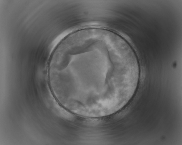 X0000115671474200912241409