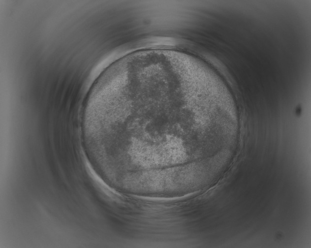 X0000115671475200912241409