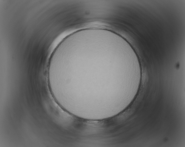 X0000115671478200912241409