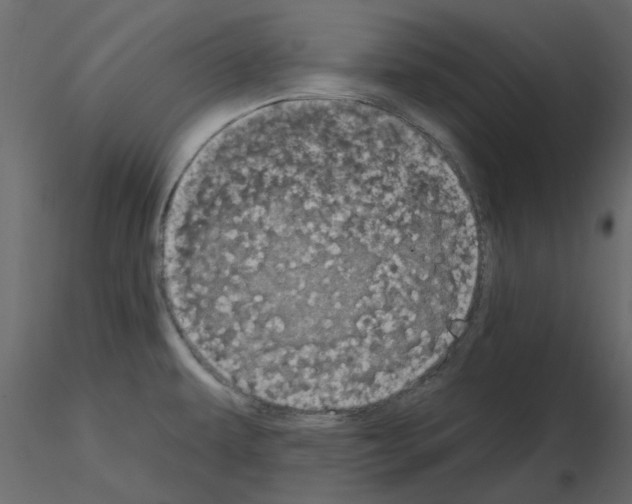 X0000115671479200912241409