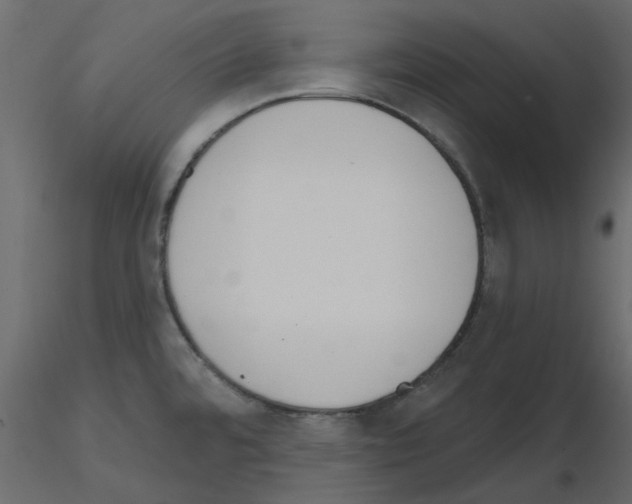 X0000115671480200912241409